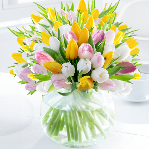 100 Springtime Tulips