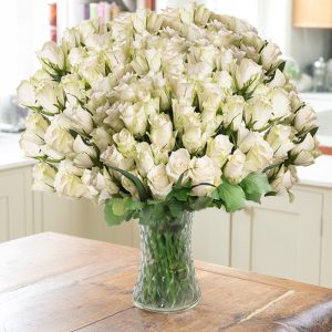 100 White Roses