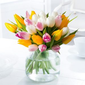 25 Springtime Tulips