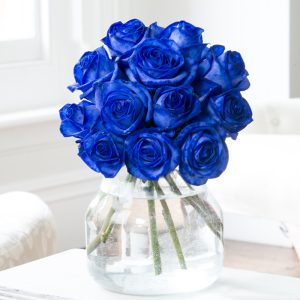 Blue Roses