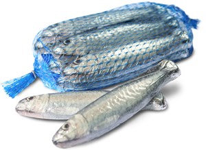 Cluizel, Net of milk chocolate sardines