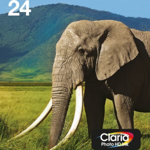Original Epson 24 Multipack Ink Cartridge (B/C/M/Y)
