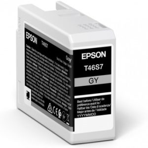 Original Epson T46S7 Grey Ink Cartridge