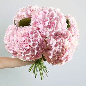 Premium Flower Subscription