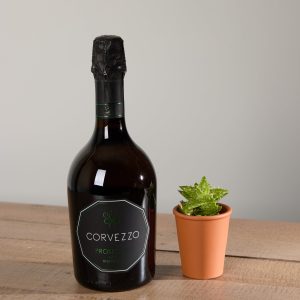 Prosecco and Organic Succulent
