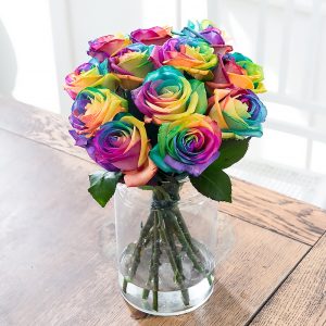 Rainbow Roses