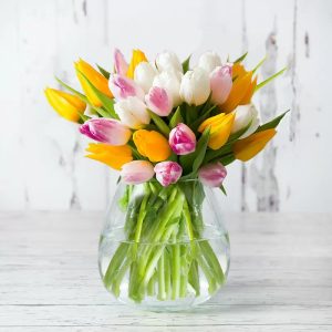 Springtime Tulips