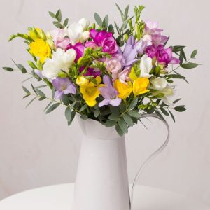 Spring Freesias