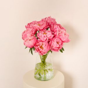 Coral Peonies