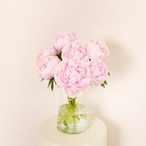 Letterbox Peonies