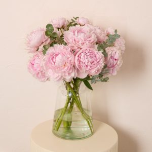 Pink Peonies