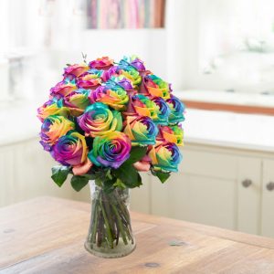 24 Rainbow Roses