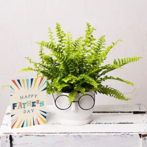 Father's Day Plant Gift