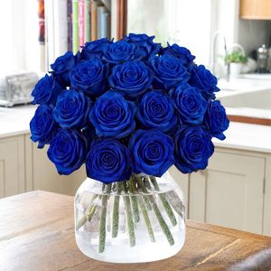 24 Blue Roses