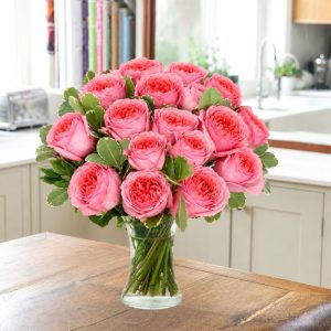 8 -16 Pink Peony Garden Roses