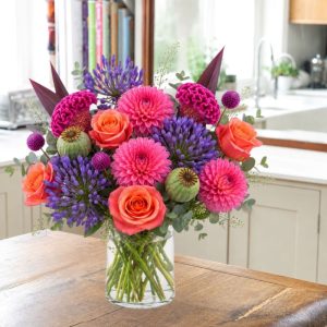 Dahlia Delight