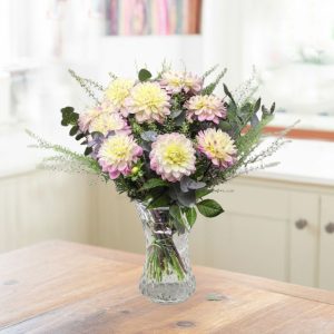 Pink Dahlias