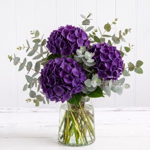 Simply Hydrangeas