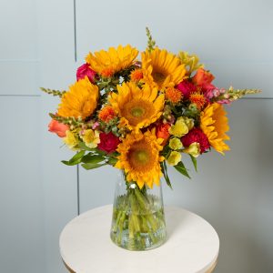 Solano and Vase